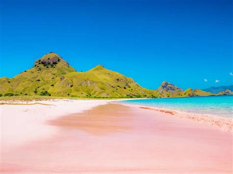 Pink Beach Wallpapers Top Free Pink Beach Backgrounds Wallpaperaccess