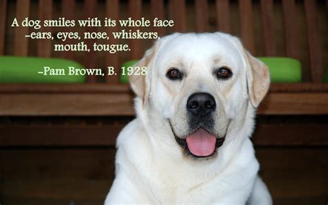 100 Best Quotes About Dogs And Famous Dog Quotes