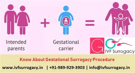 All You Should Know About Gestational Surrogacy Procedure