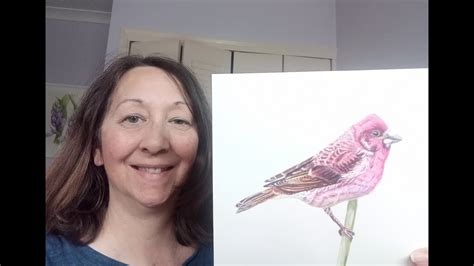How To Paint A Bird In Watercolor Watercolor And Pencils Youtube