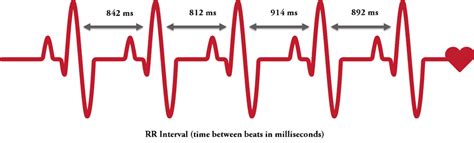 What Is Heart Rate Variability And Why Its Important For Diabetics