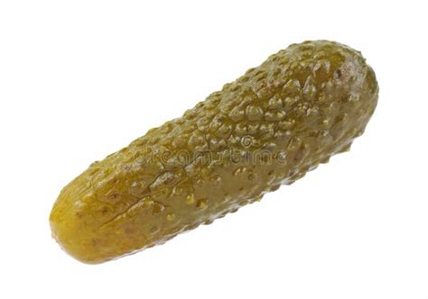 Single Small Dill Pickle Stock Photo Image Of Sweet 18012704