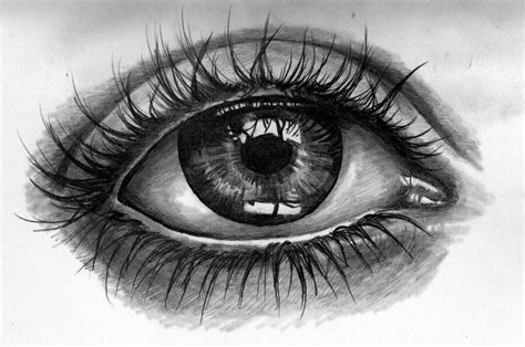 Pin By 肥猫满仓 On Inspirational Art Realistic Eye Tattoo Eye Drawing