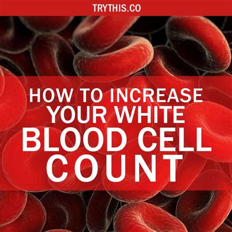 Low White Blood Cell Count Symptoms Fatigue