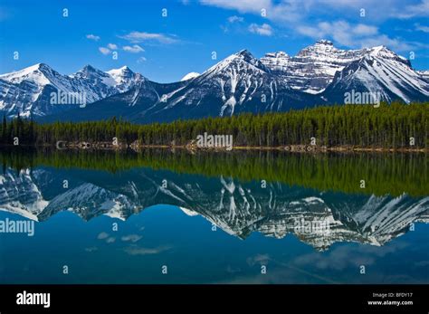 Mountain Reflection In Herbert Lake Banff National Park Alberta