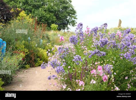 Wildflowers Grow By A Path At Sheffield Manor Lodge Home To