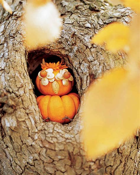 Wise Owl Pumpkin Martha Stewart