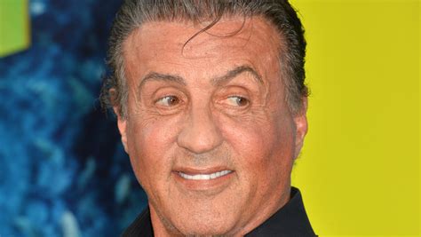Sylvester Stallone Admits His Biggest Regret From The Rocky Series