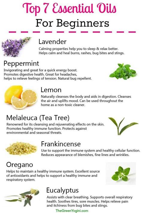 Essential Oils For Beginners Your Guide To Getting Started