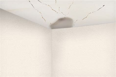 The best way to get your ceiling repaired after water damage is to hire a damage restoration company. How to Repair Water Damaged Ceilings