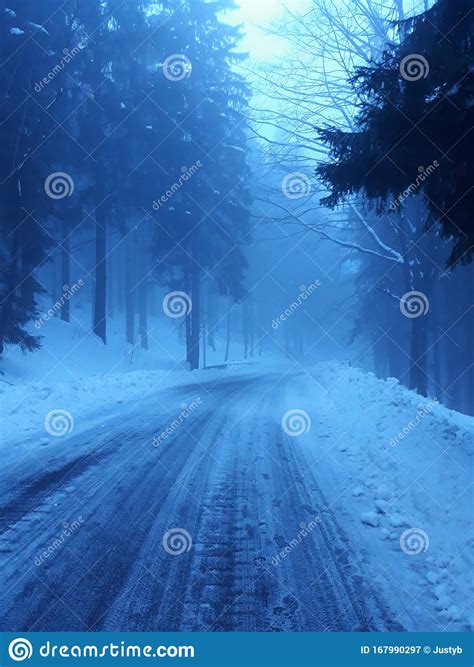 Foggy Road In The Forest Dark Winter Snow Blue Color Deppressive Stock