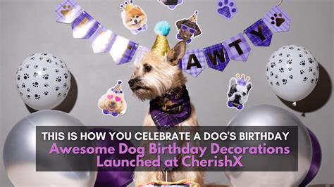 Unique And Attractive Ways To Celebrate Dog Birthday By Cherishx