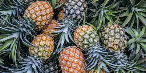 Researchers are turning pineapple leaves into drone frames - DroneDJ