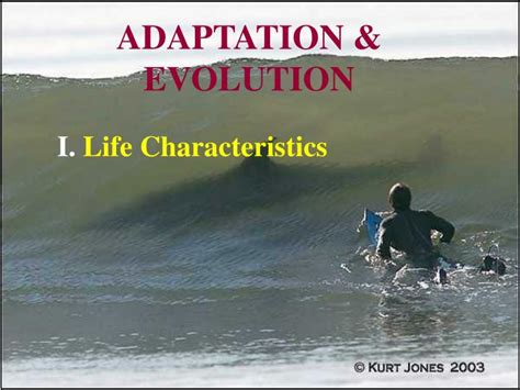 Ppt Adaptation And Evolution Powerpoint Presentation Free Download