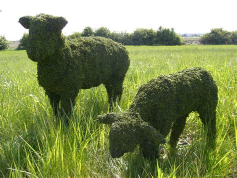 These Charming Sheep And Lamb Mossed Topiary Figures Look Great In A
