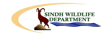 Sindh Wildlife Department Swd Sets Wild Birds Free Zameen News
