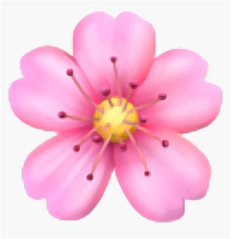 Cherry Blossom Emojis Album Iphone Flower Emoji Png Transparent Png