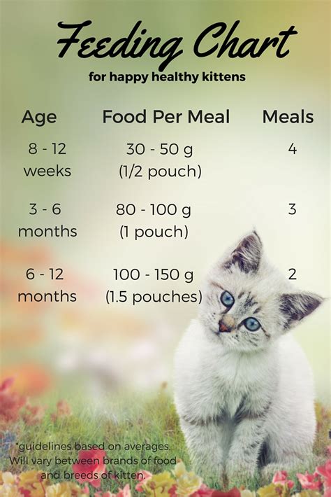 Some kittens will vary in weight and development, so use your best judgment, or speak with a veterinarian. Feeding Your Kitten - The Happy Cat Site