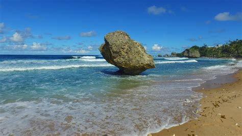 surfing in bathsheba barbados youtube