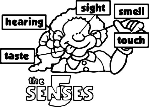 The 5 Senses Coloring Page