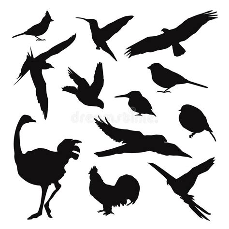 Bird Silhouettes Isolated Vector Stock Vector Illustration Of Labels
