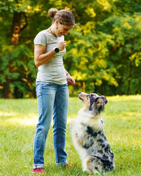 The Benefits Of Training Your Dog With Positive Reinforcement Extreme
