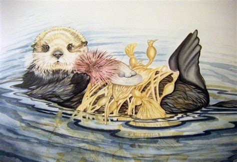 Sea Otter Watercolor By Houseofchabrier On Deviantart