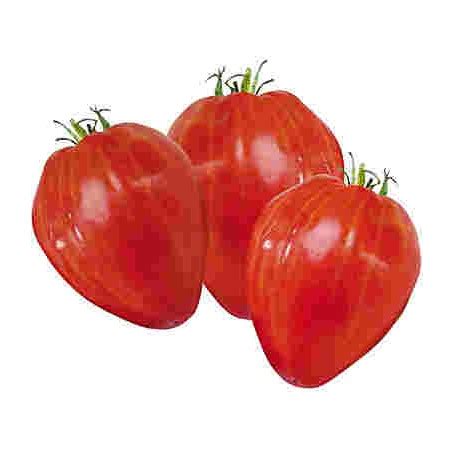 Plant de tomate Cœur de bœuf