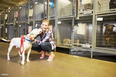 Female Volunteer At An Animal Shelter High-Res Stock Photo - Getty Images