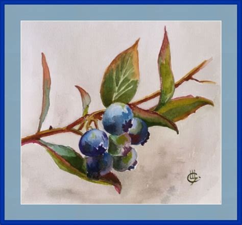 Blueberry Painting Original Watercolor Small Fruit Art By Etsy