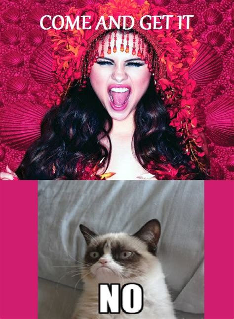 Selena When Youre Ready Come And Get It Grumpy Cat No No No O No No No O Grumpy Cat Quotes