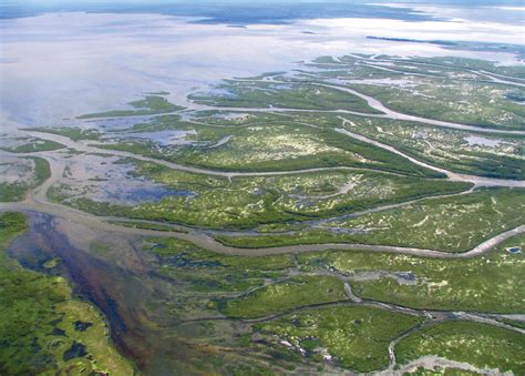 Province Mulls Protecting River Delta Near The Pas Wilderness Committee