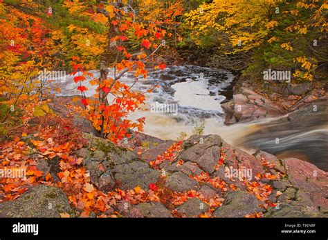 Mary Anne Falls In The Acadian Forest In Autumn Foliage Cape Breton