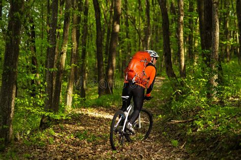 Cyclist Riding The Bike On A Trail In Summer Forest Stock Photo Image