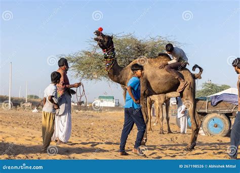 Portrait Of An Camel Trader In Ethnic Dress At Pushkar Editorial Photo