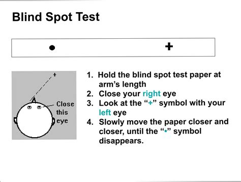 Blind Spot In Vision Blinds