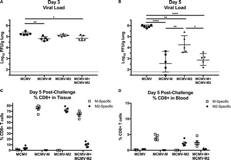 Frontiers Memory Inflation Drives Tissue Resident Memory Cd8 T Cell