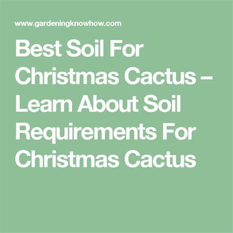 Use a standard general purpose potting mix. Potting Mix For Christmas Cactus: Christmas Cactus Soil ...