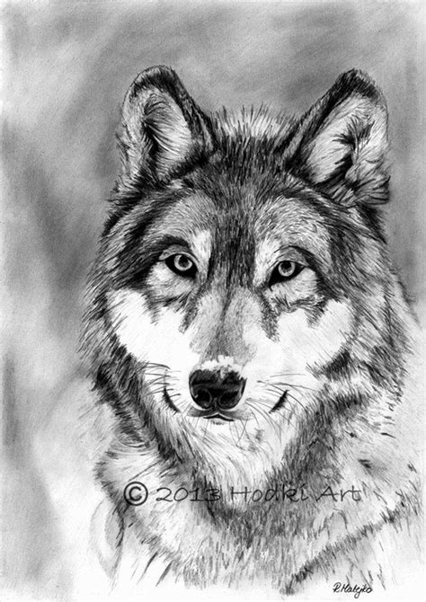 His drawings are a love and passion that he wants to share with the world. 40 Realistic Animal Pencil Drawings