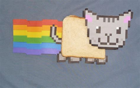Real Life Nyan Cat By Fanta Faye On Deviantart