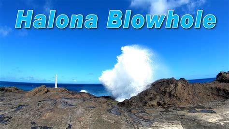 Hawaii Blowhole Halona Blowhole Lookout Halona Beach Cove
