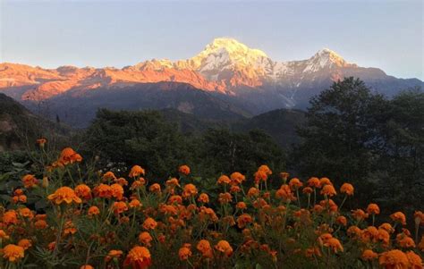 Annapurna Base Camp Green Planet Travel