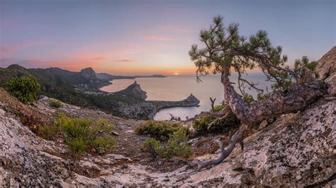 Crimea Landscape With Pine Tree And Sea Rock During Dawn Morning Hd