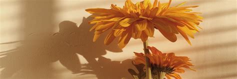 Here's a different take on a retro aesthetic. Pin on ☁︎ ┊ aes; peachy