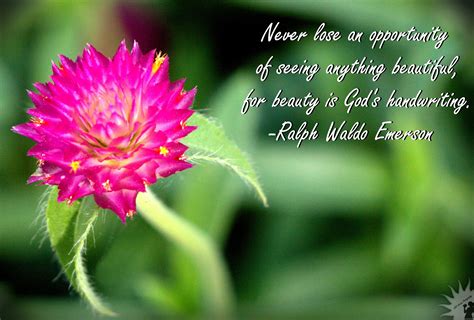 Emerson Quote Motivational Beauty Flower Nature Emerson Quotes