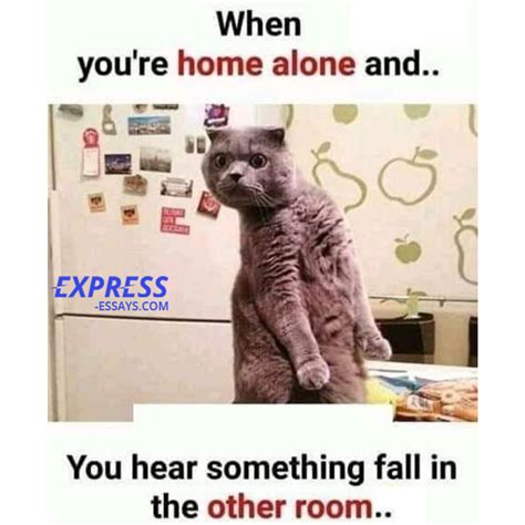 Funny Quotes About Being Alone At Home Shortquotescc