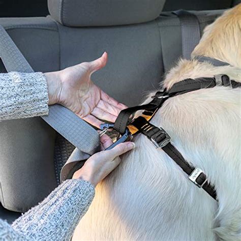 Kurgo Tru Fit Enhanced Strength Dog Harness Crash Tested Car Safety