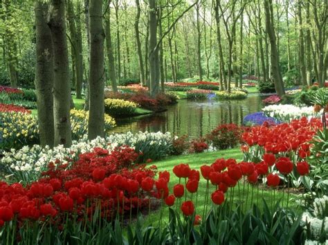 15 Most Picturesque Flower Fields In Te World