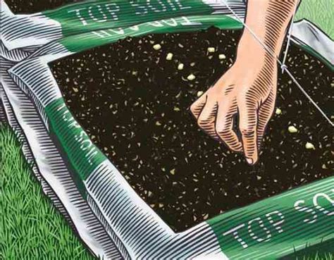 Quick And Easy Bag Gardening Organic Gardening Mother Earth News