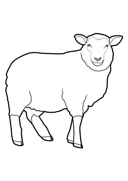 Mouton Coloriage Mouton Mouton Dessin Et Coloriage
